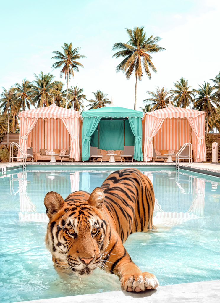 Cabana Tiger in Miami Beach pool hotel Le confidante 