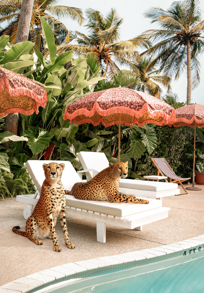 Cheetahs at the swimming pool with retro umbrella and palm trees in miami beach florida