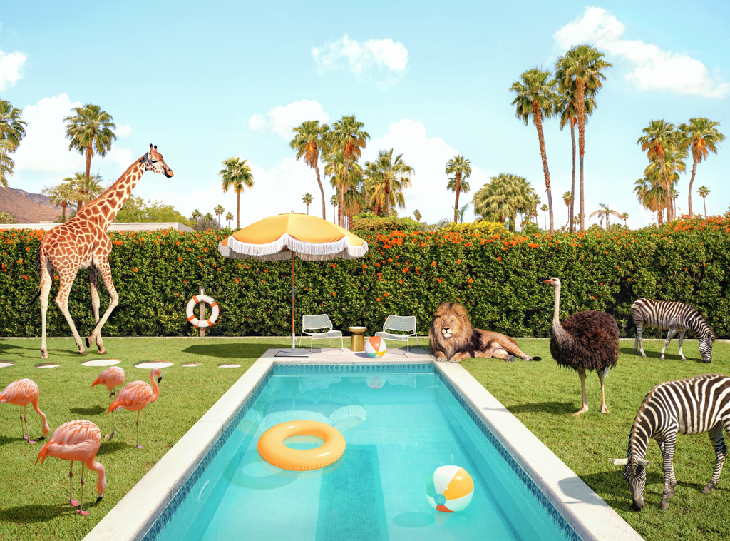 Paul Fuentes eclectic animal retro umbrella and pool with animals 