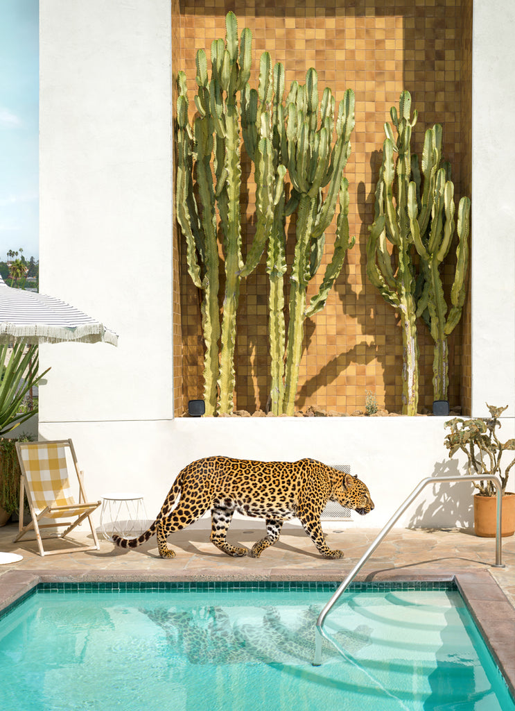 Los Angeles rooftop leopard wall art with cactus fine art print