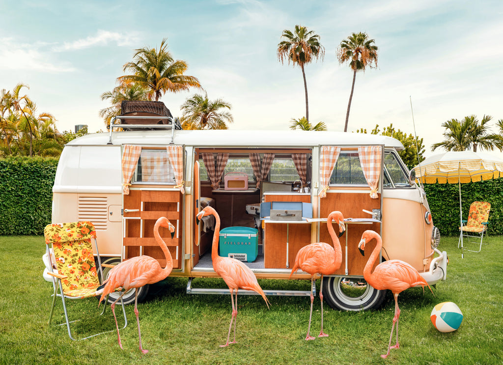 playful art print of flamingos camping under the palm trees